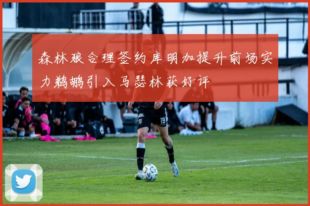 森林狼合理签约库明加提升前场实力鹈鹕引入马瑟林获好评