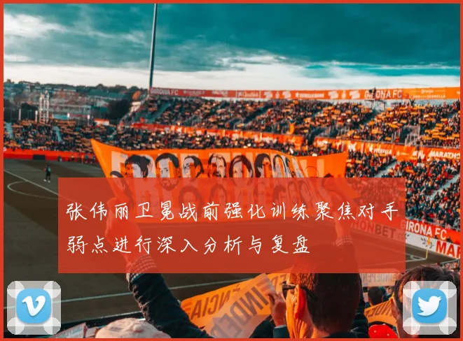 张伟丽卫冕战前强化训练聚焦对手弱点进行深入分析与复盘